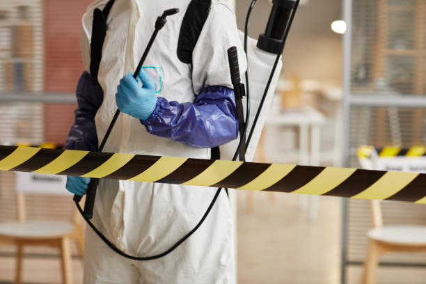 Professional Odor Removal technician working in Randolph, MA