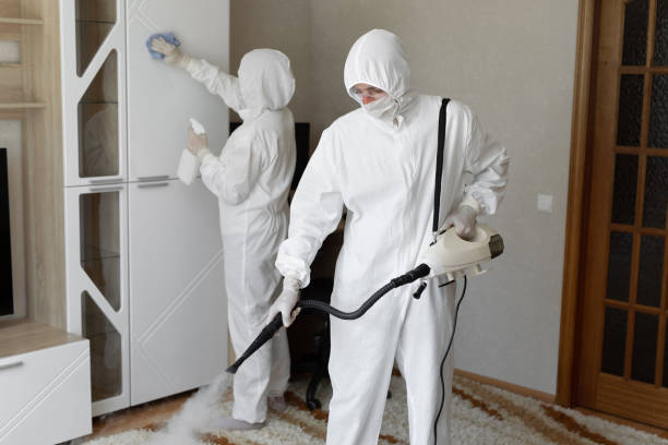 24/7 Emergency Odor Removal experts in Randolph, MA