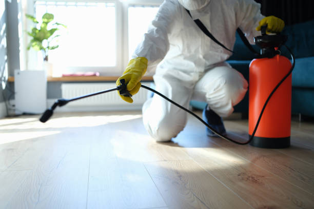 Reliable Odor Removal contractor in Randolph, MA by Trauma Clean Pros